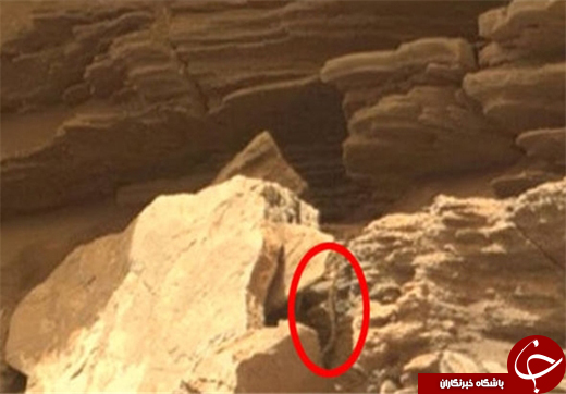 کشف موجود زنده شبیه مار روی کره مریخ +عکس