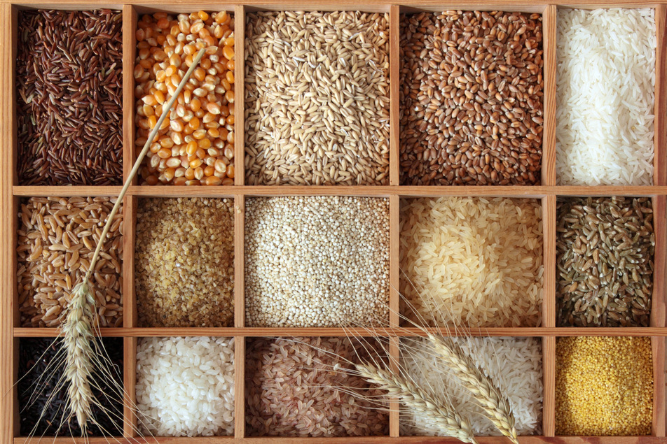 گزارش هفتگی/// روایت جدید از واردات برنج در زمان ممنوعیت/خبر خوش برای چایکاران در راه است