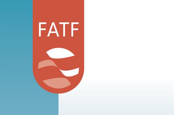 فردا؛ گزارش طیب‌نیا درباره FATF به صحن علنی مجلس