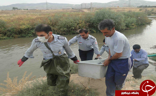 کشف جسد  در رودخانه خرم آباد+ تصاویر