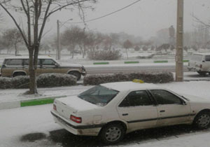 بارش برف، اردبیل را سفید‌پوش کرد + فیلم