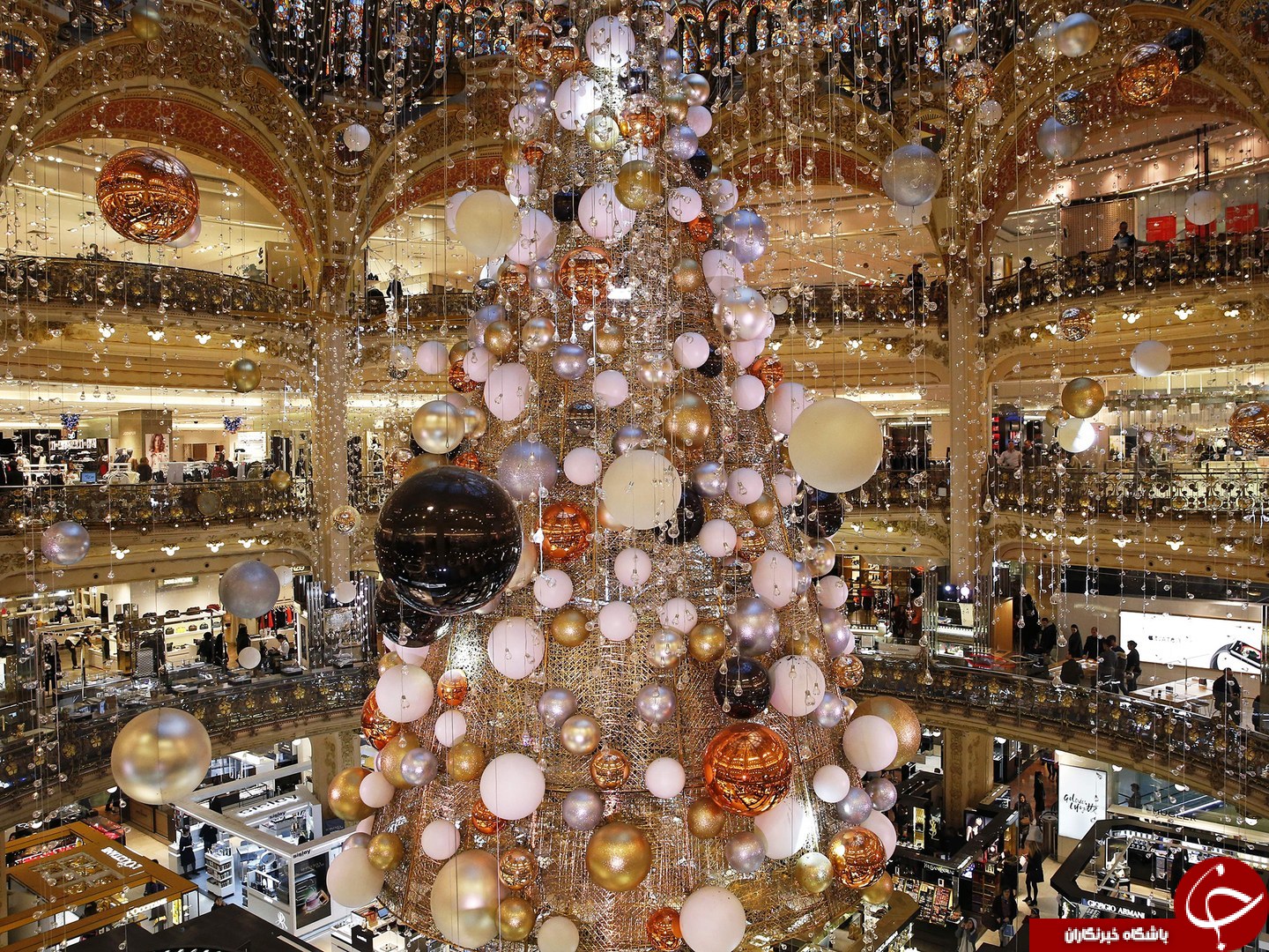 زیباترین درخت‌های کریسمس در جهان+تصاویر