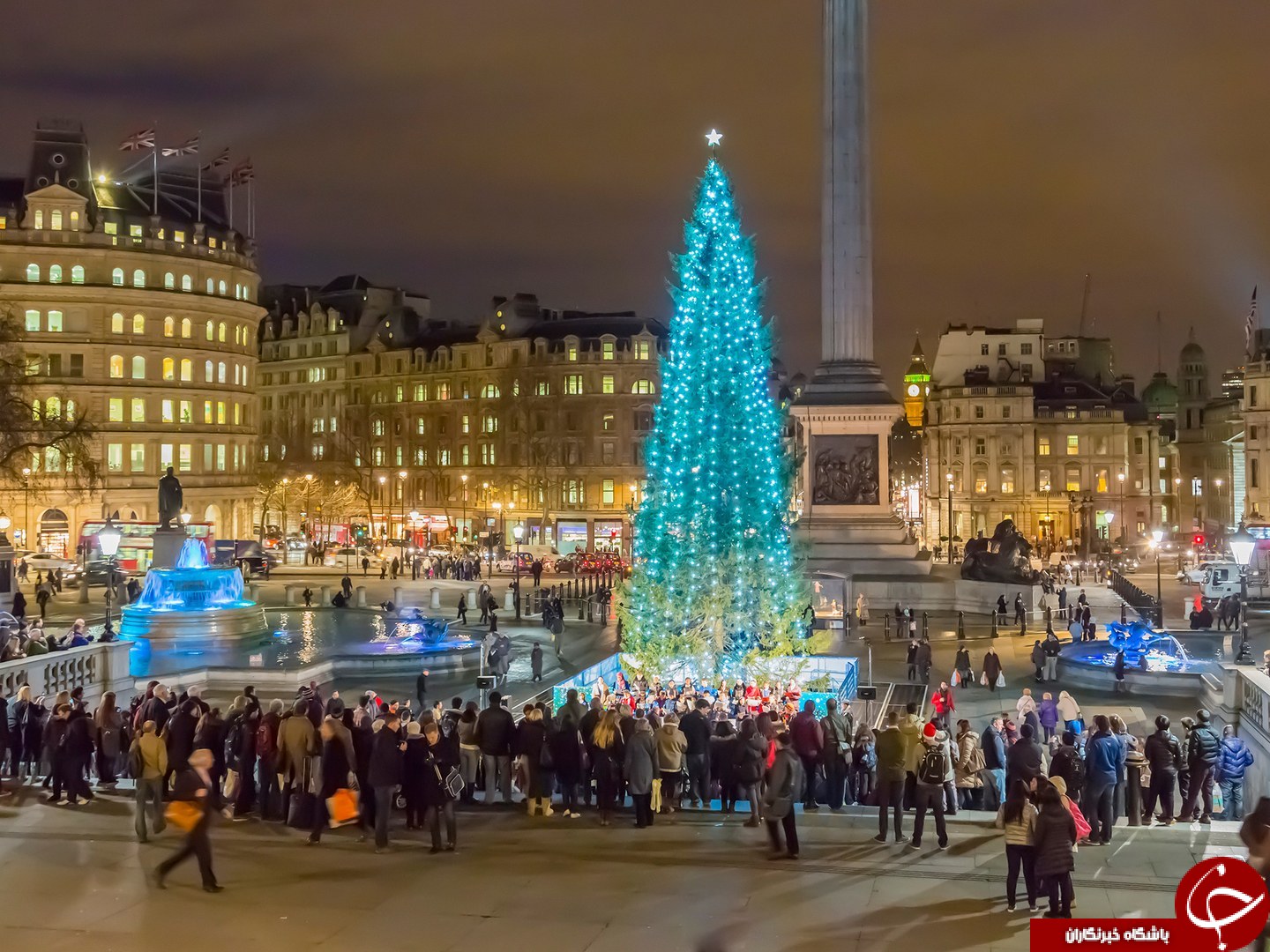 زیباترین درخت‌های کریسمس در جهان+ تصاویر