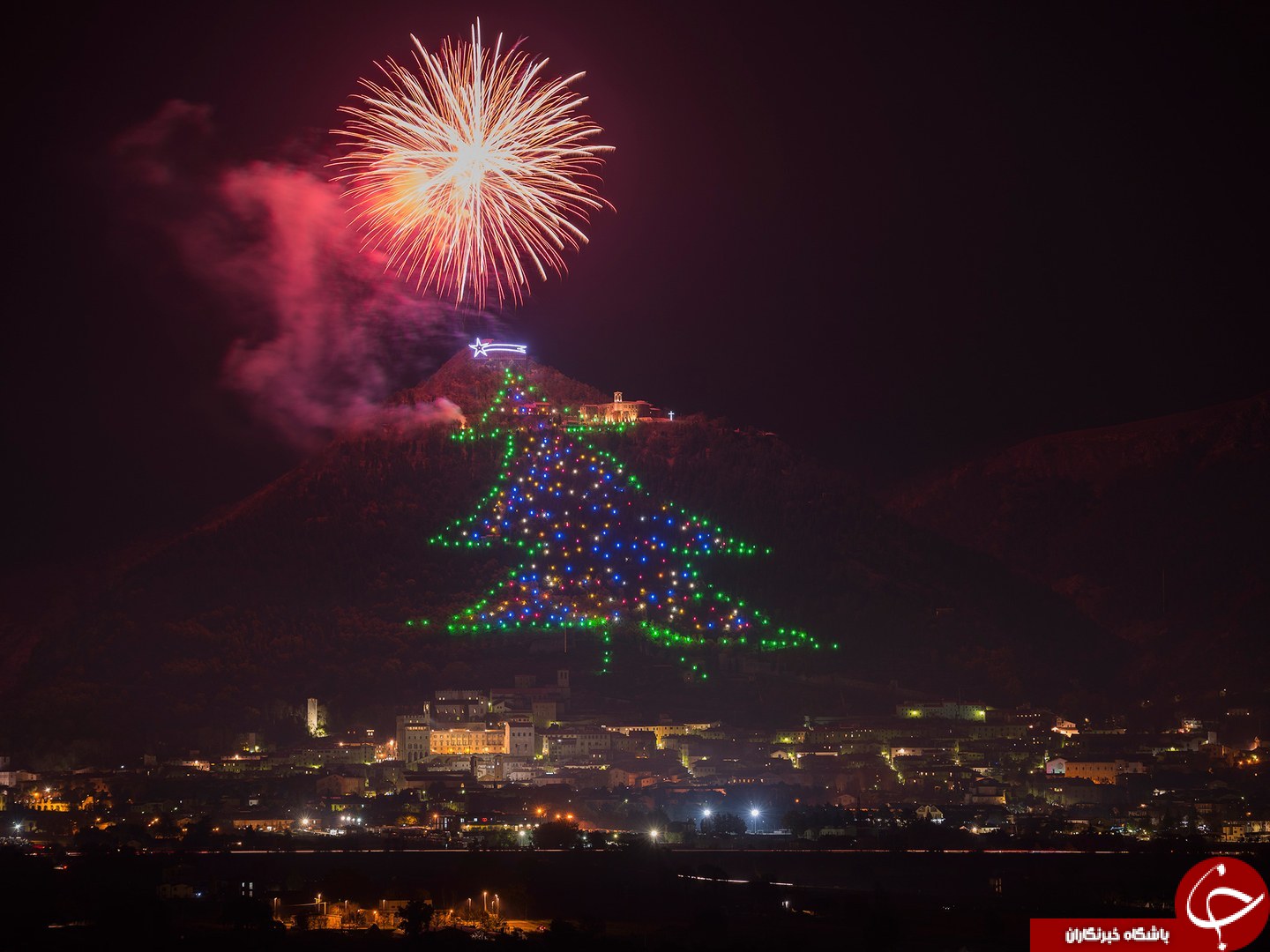 زیباترین درخت‌های کریسمس در جهان+ تصاویر