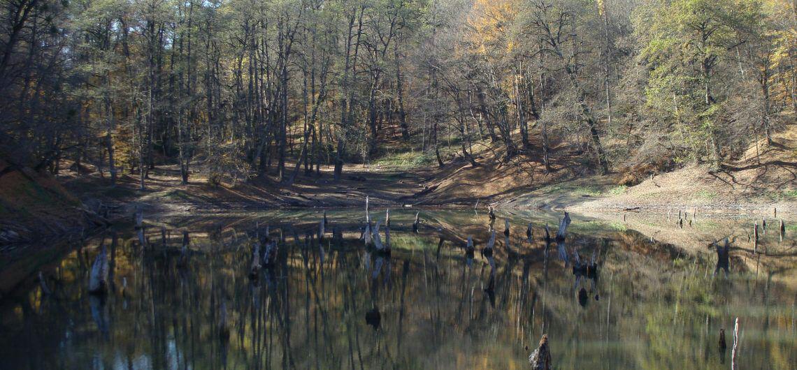 دریاچه ای در دل جنگل های بکر + تصاویر