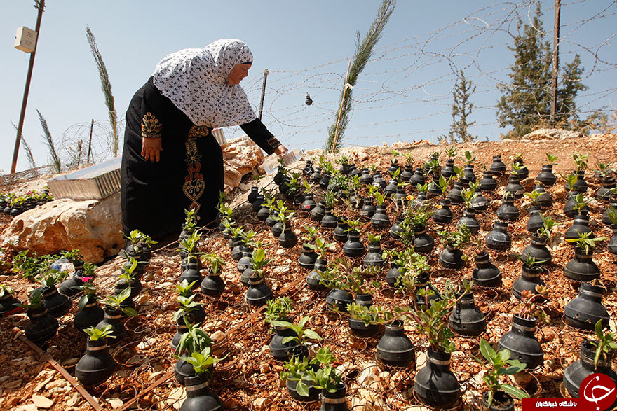 خلاقیت زن فلسطینی با بمب‌های آتش‌زا +تصاویر
