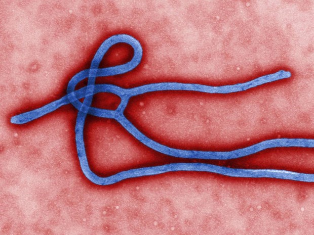 ویروس مرگ بار ابولا دوباره بازگشت/جان باختن دست کم 3 نفر در کنگو