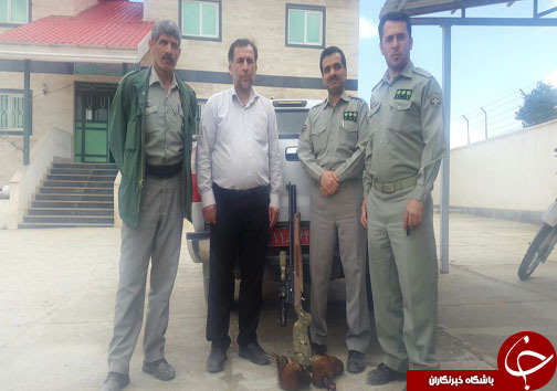 دستگیری 7 شکارچی غیرمجاز در مازندران+ تصاویر