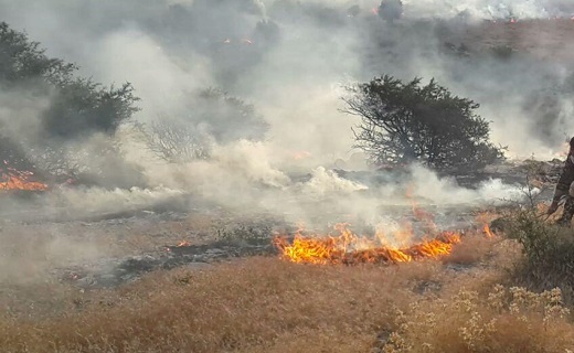 گلایه رانندگان از وضعیت جاده تپه سلام/غوطه ور شدن دیلمان در مه/سوختن جنگلهای بلوط در آتش + فیلم و تصاویر