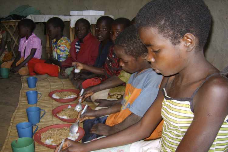 سوء تغذیه‌ای که جهان گرسنه را می‌بلعد