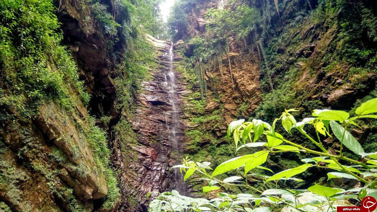 زیبایی بی‌نظیر آبشار «گزو» در سوادکوه + فیلم و تصاویر