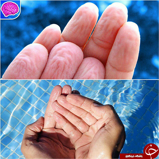چرا نوک انگشتان در آب چروک می‌شود؟ +عکس