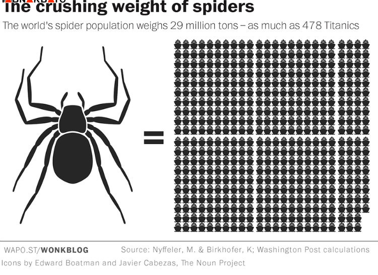 واقعیتی عجیب از قدرت عنکبوت ها در نابودی حیات بشر