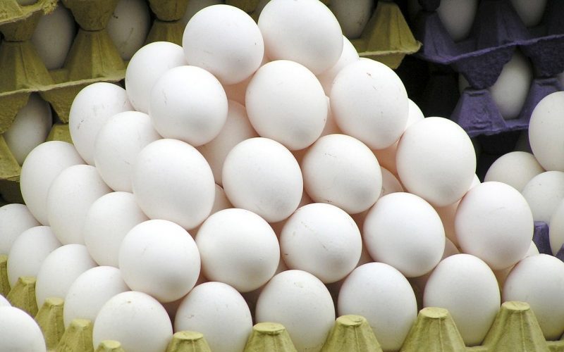 تخم‌مرغ خراب عامل بیماری حصبه‌ / احتمال تبلیغاتی‌ بودن تخم‌مرغ‌های فرانسوی