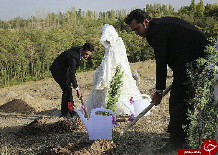 مهریه عجیب عروس و داماد ایلامی را به بیابان کشاند +عکس