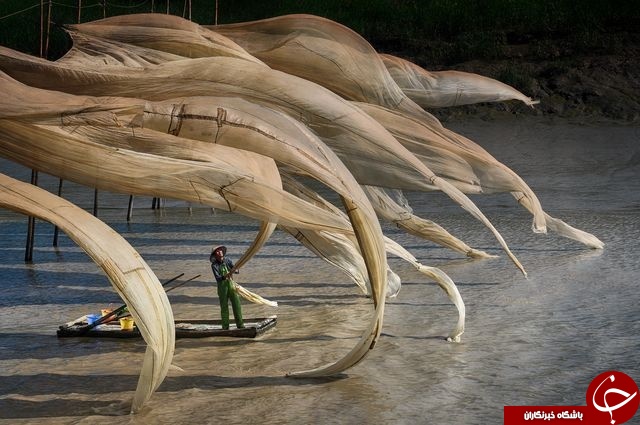 جدال باد و ماهیگیر در عکس روز نشنال جئوگرافیک