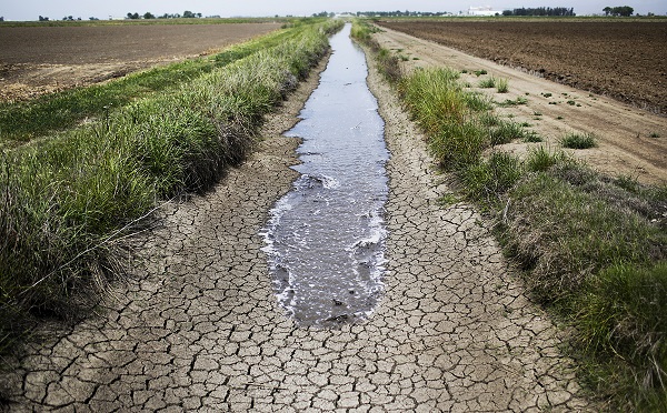 Image result for ‫مصرف آب در کشاورزی‬‎