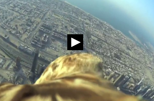 پرواز بر فراز برج خلیفه دبی از نگاه یک عقاب+فیلم