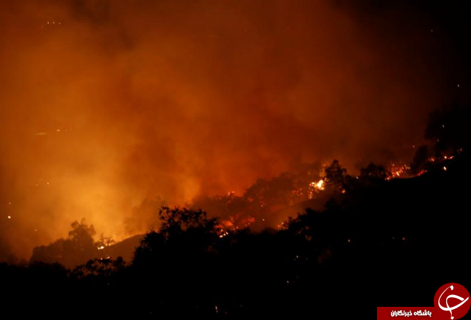افزایش قربانیان آتش سوزی کالیفرنیا به 35 نفر/ بیش از 5000 خانه خاکستر شد+ تصاویر