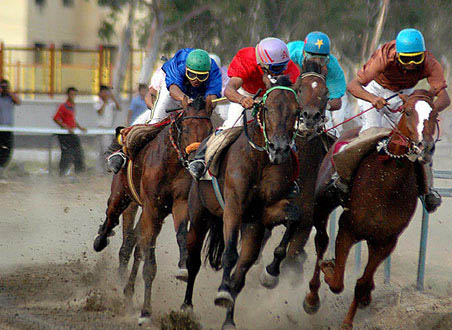اسب سواران ایرانی با اسب های کدام کشورها مسابقه می دهند؟