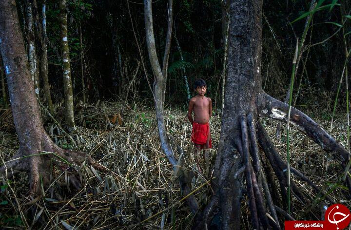 تصاویری جالب از قبیله ای ناشناخته در قلب جنگل آمازون