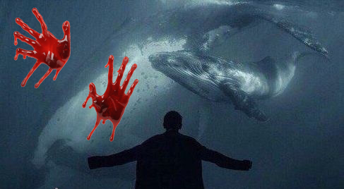 نهنگ آبی؛ از واقعیت مجازی تا دروغ حقیقی