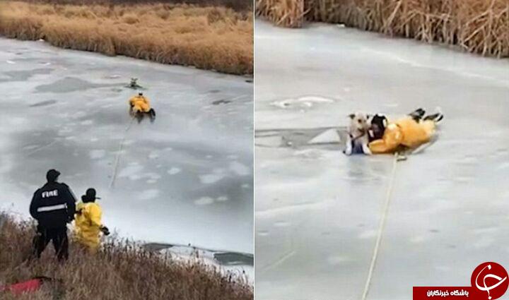 عملیات نفس گیر نجات یک سگ گرفتار شده در رودخانه یخ زده + فیلم///////////////////////