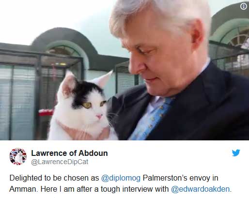 استخدام یک گربه به عنوان کارمند جدید سفارت بریتانیا در اردن+عکس