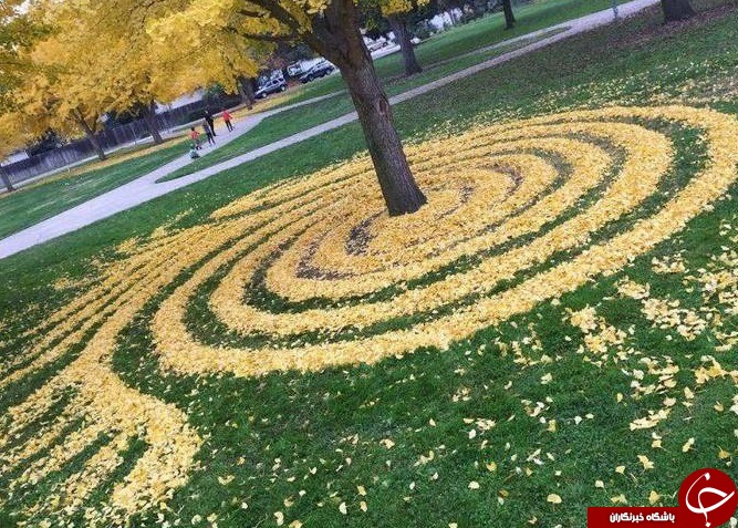 هنرنمایی بسیار زیبا با برگ های پاییزی