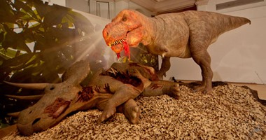 اكتشاف حفريات ديناصور ضخم من أكلة اللحوم فى الأرجنتين