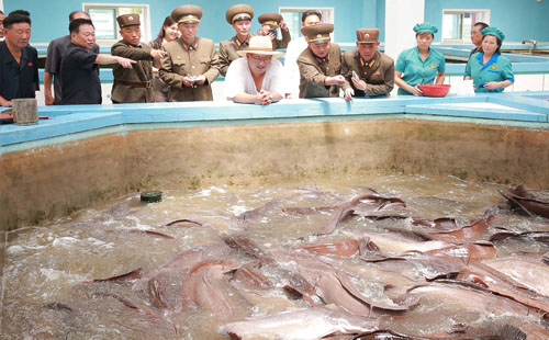 صور.. جولة تفقدية لزعيم كوريا الشمالية للمشاريع الاقتصادية فى بلاده