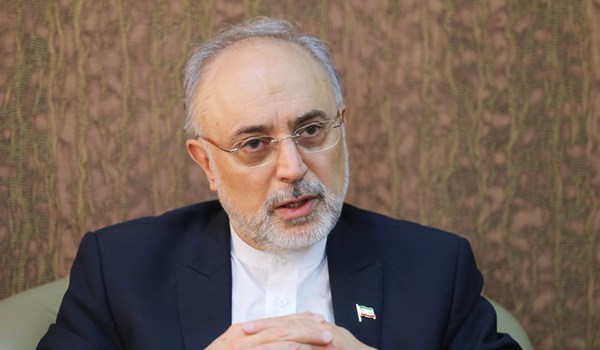 صالحي: ايران ستتخذ القرارات اللازمة وفقا للظروف