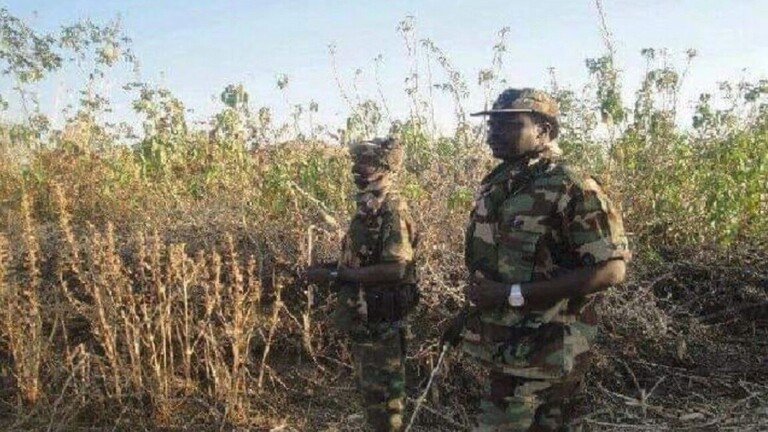 انطلاق مفاوضات مباشرة بين حكومة السودان والحركات المسلحة في جوبا