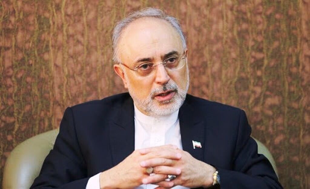 رئيس الطاقة الذرية الايرانية: دم الشهيد فخري زادة سيقوي الجمهورية الاسلامية