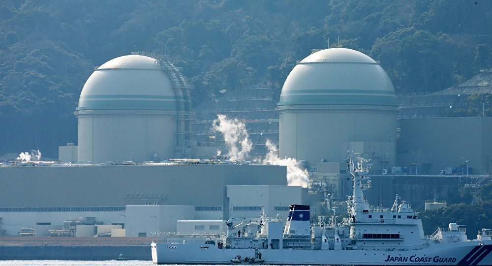 Dozens in southwestern Japan rally against restart of nuclear plant reactor