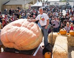 Farmers battle to become the pumpKING at Europe-wide weigh-off