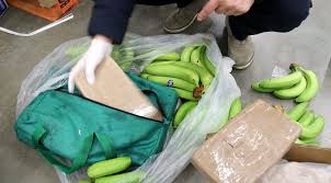 New Zealand police seize 190 kg of cocaine hidden in banana shipment