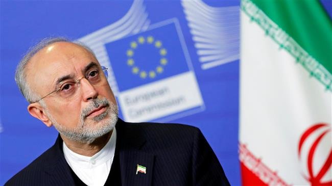 Iran's nuclear chief warns patience is running out on EU pledges