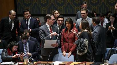 Russia vetoes US-drafted UNSC resolution on Syria chemical attack