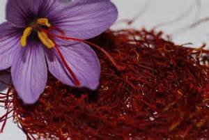 Iran’s saffron exports jumped by 55 percent