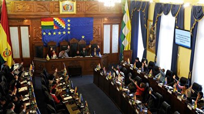 Bolivian Congress approves law for holding new elections without Morales