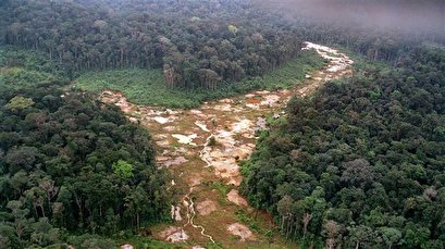 Bolsonaro's Amazon 'dream' is indigenous 'nightmare'