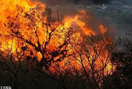 وقوع 3  فقره آتش سوزی این هفته در جنگل های مازندران