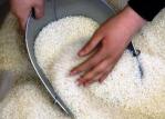 توزیع 700تن برنج وارداتی در مهران ‏