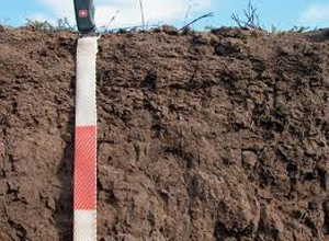 موفقيت محقق شيرازي در ساخت دستگاه نمونه گيري عصاره خاک