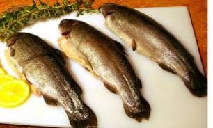 ماهی و گردو مهمترین تغذیه کنکوری ها 5 ماه قبل از کنکور