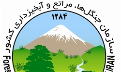 40هزار اصله درخت در خلخال توزیع می شود