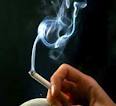 بیش از 7 درصد جمعیت خراسان شمالی سیگاري هستند