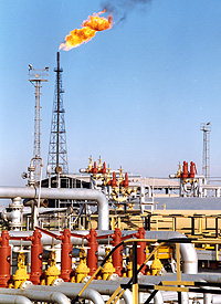 خطوط لوله فلزی انتقال پساب های نمک زدایی با تلاش شرکت بهره برداری نفت و گاز مارون تعویض شد .