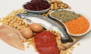 چرا پروتئین برای بدن ضروری است؟